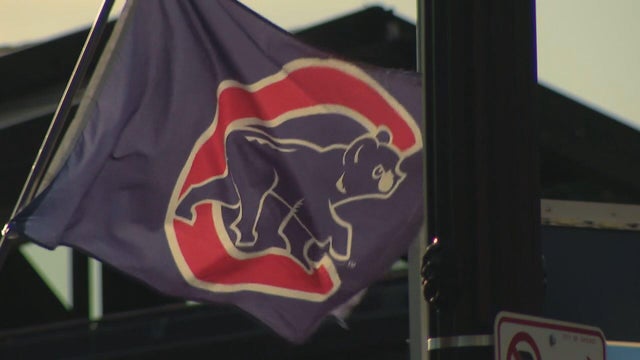100325-cubs-flag.jpg 