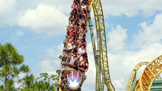 Amusement Park Death 